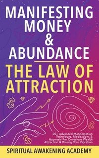 bokomslag Manifesting Money & Abundance Blueprint - The Law Of Attraction