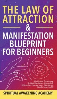 bokomslag The Law Of Attraction & Manifestation Blueprint For Beginners