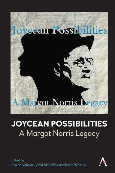 Joseph Valente, Vicki Mahaffey, Kezia Whiting - Joycean Possibilities: A Margot Norris Legacy, Häftad