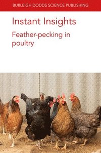 bokomslag Instant Insights: Feather-Pecking in Poultry