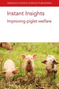 bokomslag Instant Insights: Improving Piglet Welfare