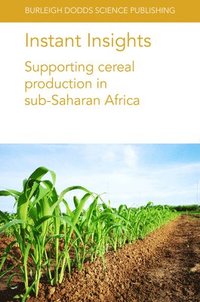 bokomslag Instant Insights: Supporting Cereal Production in Sub-Saharan Africa
