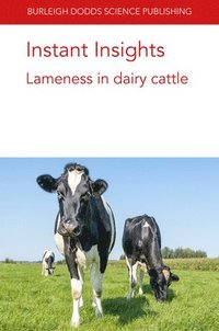 bokomslag Instant Insights: Lameness in Dairy Cattle