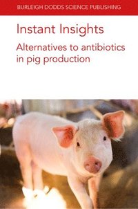 bokomslag Instant Insights: Alternatives to Antibiotics in Pig Production