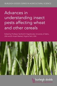 bokomslag Advances in Understanding Insect Pests Affecting Wheat and Other Cereals