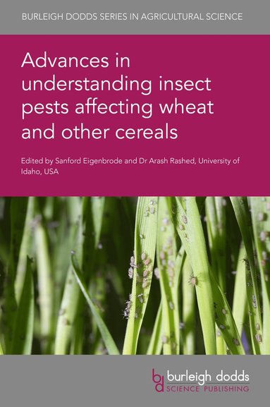 bokomslag Advances in Understanding Insect Pests Affecting Wheat and Other Cereals