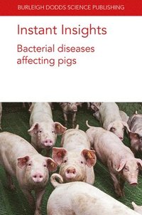 bokomslag Instant Insights: Bacterial Diseases Affecting Pigs