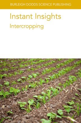bokomslag Instant Insights: Intercropping