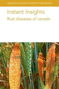 bokomslag Instant Insights: Rust Diseases of Cereals