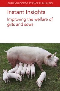 bokomslag Instant Insights: Improving the Welfare of Gilts and Sows