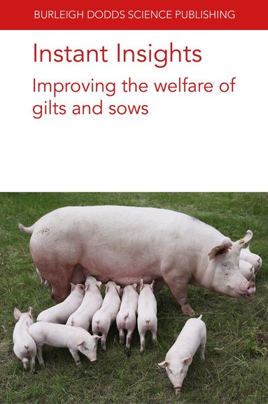 S. Björkman, C. Oliviero, O. A. T. Peltoniemi, Paul H. Hemsworth, Emma M. Baxter, Sandra Edwards - Instant Insights: Improving the Welfare of Gilts and Sows, Häftad