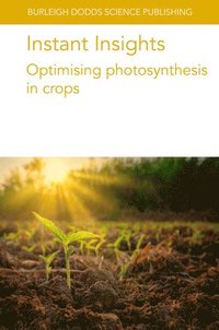 bokomslag Instant Insights: Optimising Photosynthesis in Crops