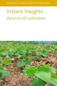 bokomslag Instant Insights: Zero/No Till Cultivation