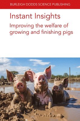 bokomslag Instant Insights: Improving the Welfare of Growing and Finishing Pigs