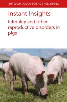 bokomslag Instant Insights: Infertility and Other Reproductive Disorders in Pigs