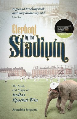 Elephant in the Stadium 1