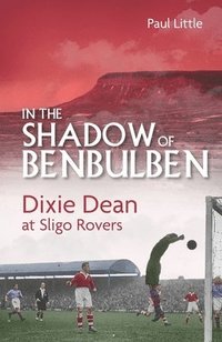 bokomslag In the Shadow of Benbulben