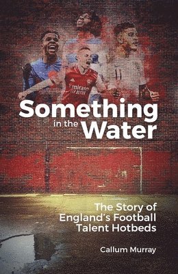 Callum Murray - Something in the Water, Inbunden