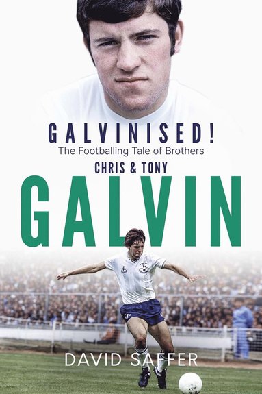 bokomslag Galvinised