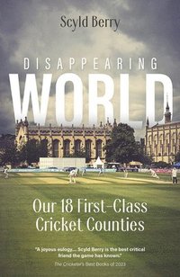 bokomslag Disappearing World