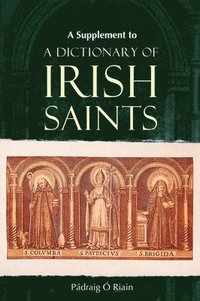 bokomslag A Supplement to a Dictionary of Irish Saints