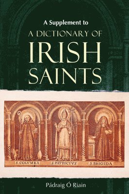 Padraig O Riain, Pádraig Ó. Riain - Supplement to a Dictionary of Irish Saints, Häftad