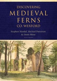 bokomslag Discovering Medieval Ferns, Co. Wexford