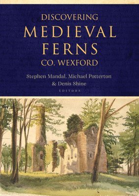 Discovering Medieval Ferns, Co. Wexford 1