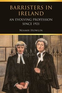 bokomslag Barristers in Ireland