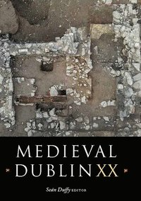 bokomslag Medieval Dublin XX