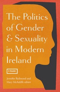 bokomslag The politics of gender and sexuality in modern Ireland