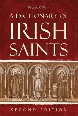 bokomslag dictionary of Irish Saints