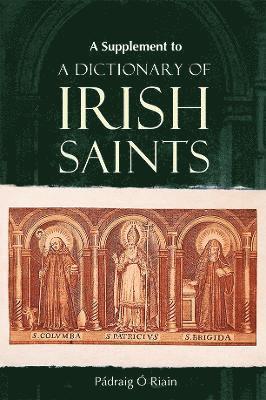 Padraig O Riain, Pádraig Ó. Riain - dictionary of Irish Saints, Inbunden