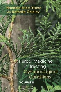 bokomslag Herbal Medicine in Treating Gynaecological Conditions Volume 2