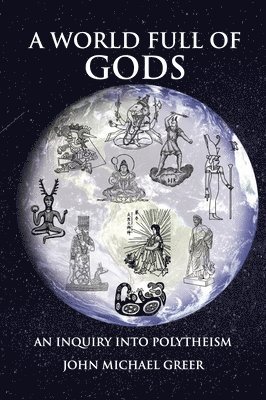 bokomslag World Full of Gods