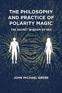 bokomslag The Philosophy and Practice of Polarity Magic
