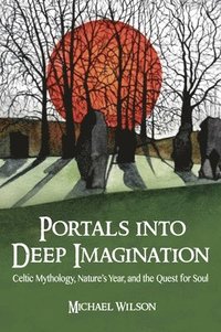 bokomslag Portals into Deep Imagination