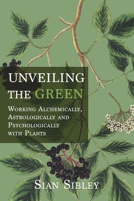 bokomslag Unveiling the Green
