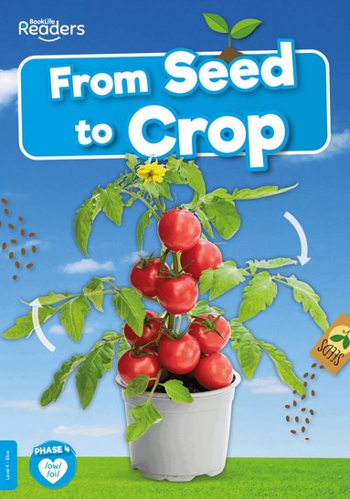 Shalini Vallepur - From Seed to Crop, Häftad