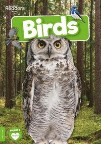 bokomslag Birds