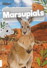 bokomslag Marsupials