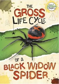 bokomslag Gross Life Cycle of a Black Widow Spider