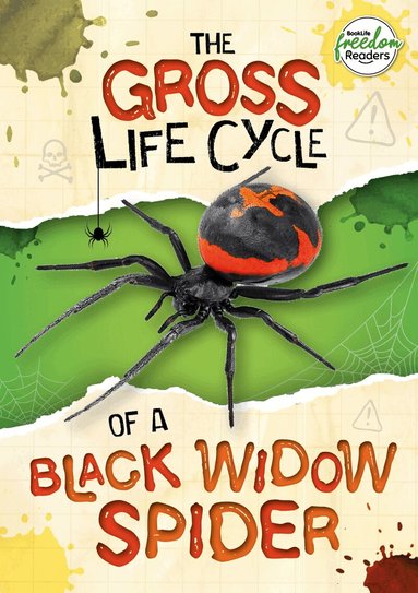 William Anthony - Gross Life Cycle of a Black Widow Spider, Häftad