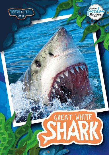 Robin Twiddy - Teeth to Tail of a Great White Shark, Häftad