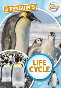 bokomslag Penguin's Life Cycle