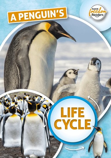 Madeline Tyler - Penguin's Life Cycle, Häftad