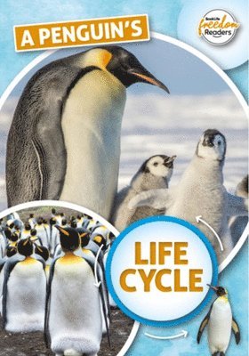 bokomslag Penguin's Life Cycle