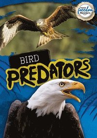 bokomslag Bird Predators