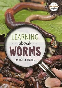 bokomslag Learning about Worms