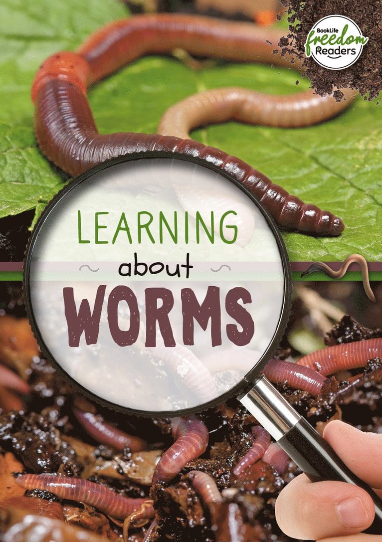 Holly Duhig - Learning about Worms, Häftad